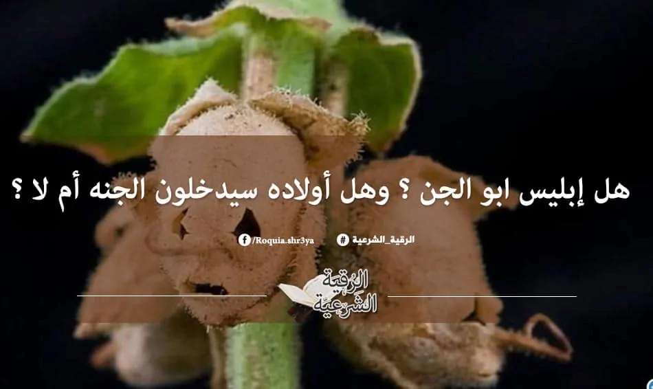 هل إبليس ابو الجن ؟ وهل اولاده سيدخلون الجنه ام لا ؟ 6